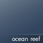 Ocean Reef